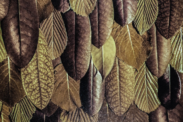 图案纺织织物材料帆布纹理背景图片下载