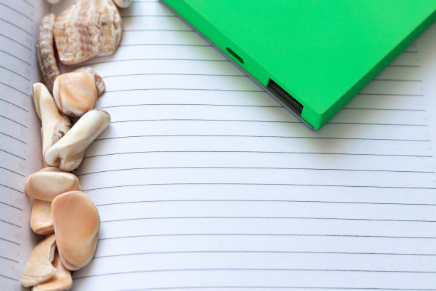 绿色动力银行和贝壳与海洋化石躺在笔记本或日记本的打开页，计划一个海上旅行和复制空间图片下载