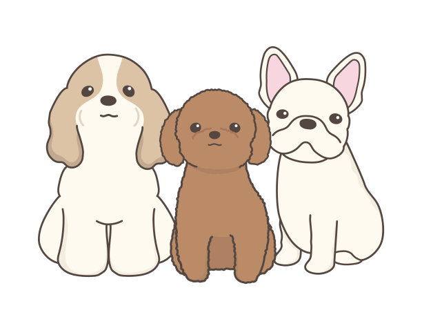 狗看着摄像机。一只西班牙猎犬，一只玩具狮子狗，还有一只法国斗牛犬。图片下载