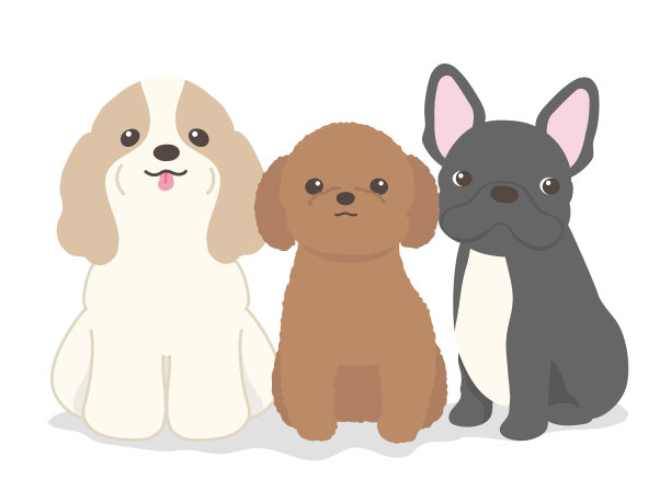 狗看着摄像机。一只西班牙猎犬，一只玩具狮子狗，还有一只法国斗牛犬。图片下载