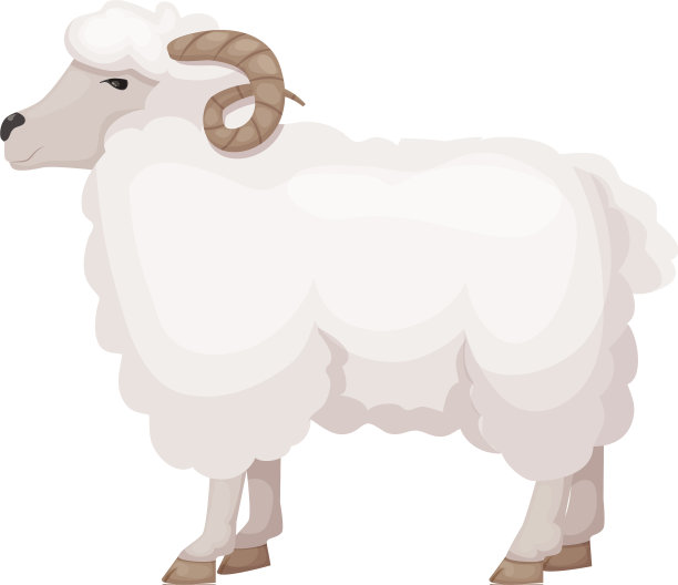 尤特有趣的蹄宠物有角的家庭公羊图片下载