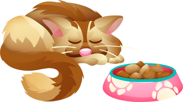 猫拿着碗吃东西图片下载