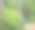 绳子公园里的小男孩。活泼的身体娱乐的孩子在公园的新鲜空气。训练孩子。孩子们爬上高绳梯。儿童户外敏捷攀爬游乐中心。小男孩在户外玩耍图片下载