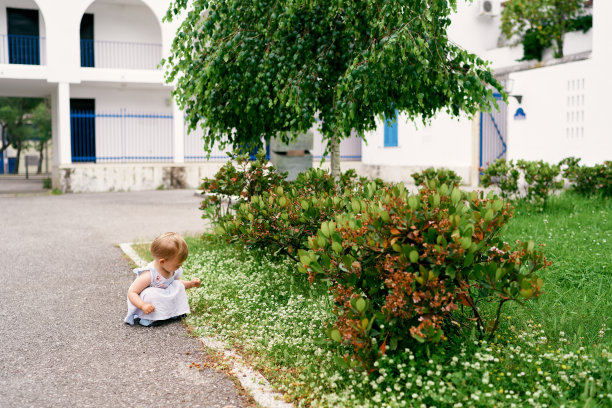 小女孩蹲在房子院子里的野花旁边图片下载