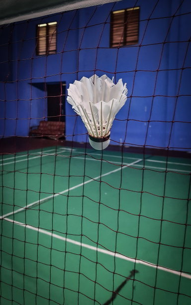 Satelkok被困在网上图片下载