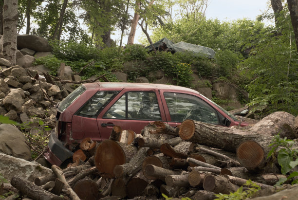 旧汽车被丢弃在森林里图片下载