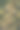 开花树木间的公路图片下载