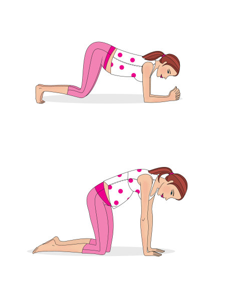 孕妇瑜伽。在家练习。一个孕妇正在训练。孤立在白色背景上。图片下载