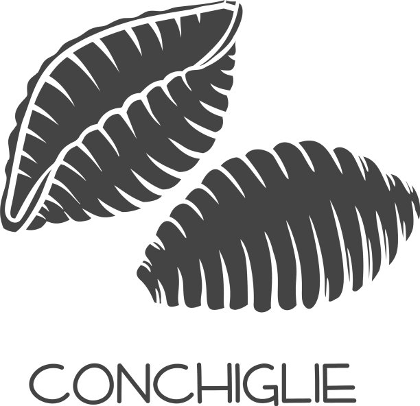 glyph icon贝壳图片下载