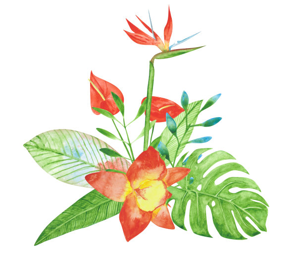 水彩异域花卉手绘花束插画图片下载