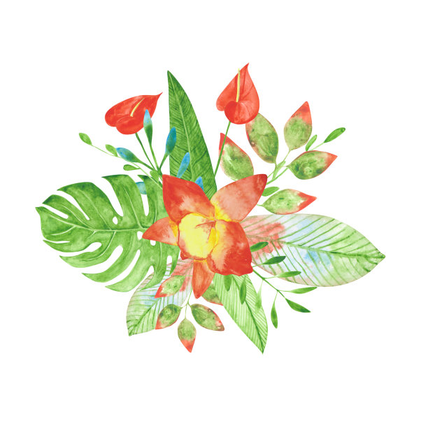 水彩花束：异国情调的花朵，独立白色背景，兰花、红掌、monstera 和其他花卉图片下载