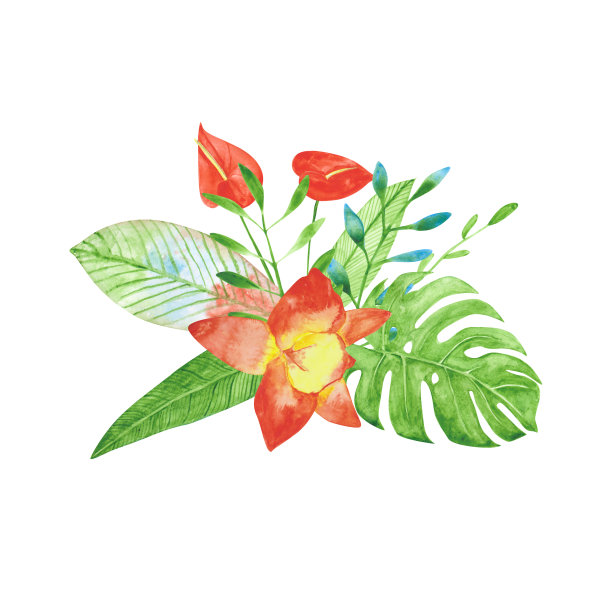 一束孤立在白色背景上的奇异花朵的水彩画。红色和黄色的兰花，怪兽，和红掌的婚礼邀请和更多。手绘热带花卉插图。图片下载