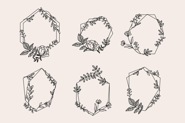 花卉帧集合图片下载