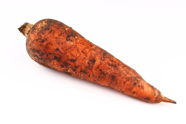 白色背景上的肮脏胡萝卜图片下载