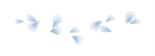 白色背景上孤立的白色蓝色飞舞花瓣矢量素材图片下载