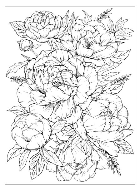 牡丹着色页为成花着色图片下载