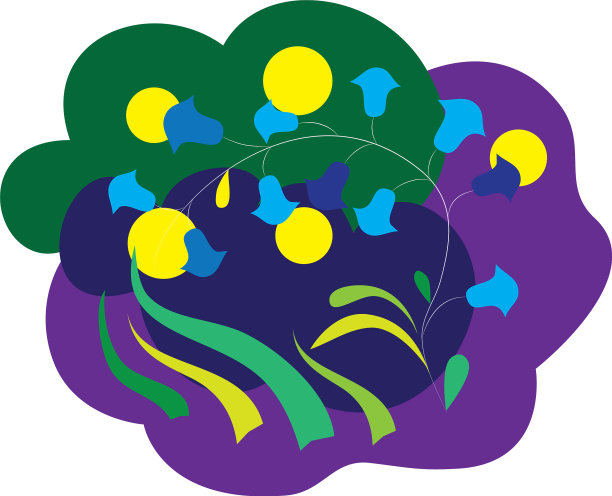 风铃草图片下载