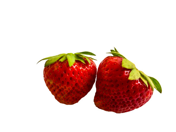 孤立在白色草莓背景图片下载