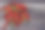 红辣椒。很多红辣椒图片下载