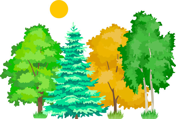 可爱的木本植物，生态白杨，枫树，橡树，桦树图片下载