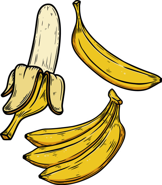 设置香蕉在雕刻风格的设计图片下载