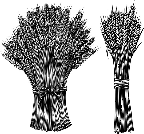 集捆小麦在雕刻风格图片下载