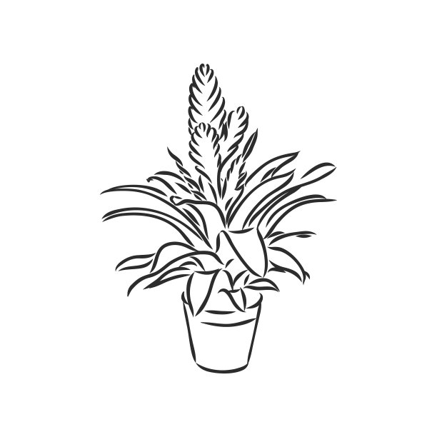 三叶草手绘轮廓涂鸦图片下载