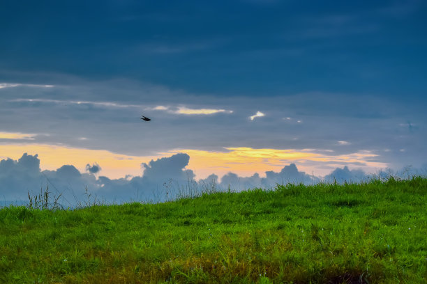 傍晚时分，昏暗的天空和美丽的颜色，蓝色的云，绿色的草地和鸟的剪影在天空。图片下载