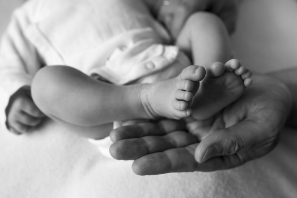 父母手中。新生儿的双腿在爸爸妈妈的手中。婴儿的腿在他的手中。黑白图片图片下载