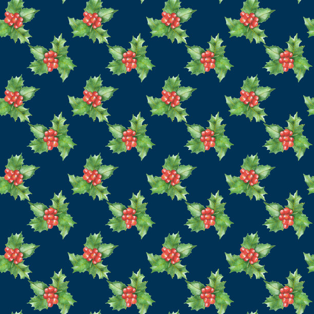 无缝图案与圣诞槲寄生，holli。圣诞节无缝模式。电子纸。新年。冬天的点缀图片下载
