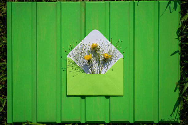 绿色的信封与野花在绿色的木制背景图片下载