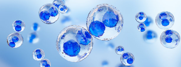 细胞分裂过程，人体细胞，3D插图。图片下载