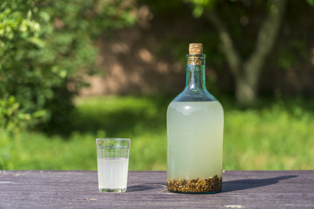 传统乌克兰冷大麦饮料克瓦斯在一个玻璃罐在自然背景。克瓦斯饮料由桦树汁和油炸大麦制成。图片下载