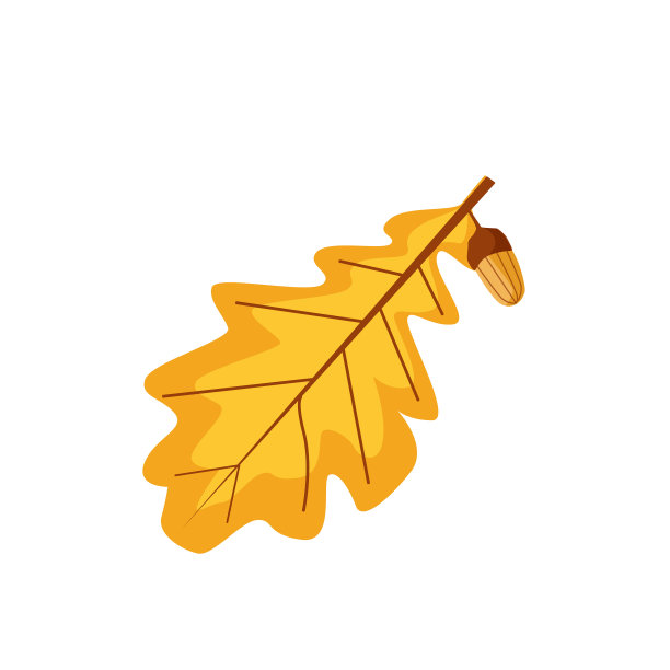 一个秋天，黄色的橡子叶子和一个橡子图片下载