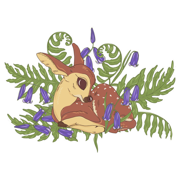 小鹿，蕨类植物的叶子和钟花图片下载