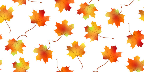 秋天无缝的背景图片下载