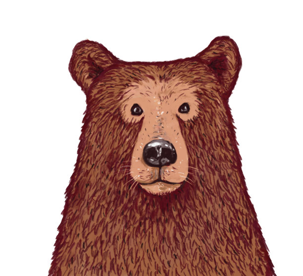 棕色可爱的手画有趣的熊在灯光背景看相机图片下载