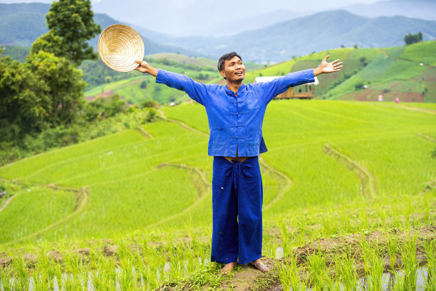 农民们在稻田里快乐。在梯田上耕种的农民泰国班帕邦。图片下载