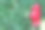 红海马在绿草上。儿童玩具背景图片下载