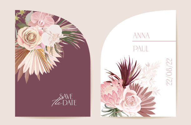 波西兰潘帕斯草protea卡模板图片下载