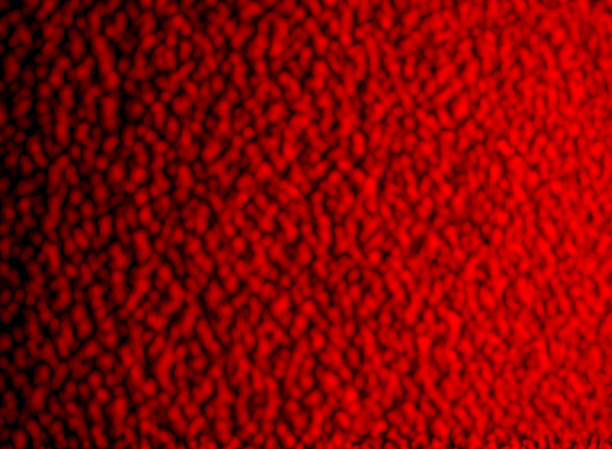 红狼籍的背景图片下载