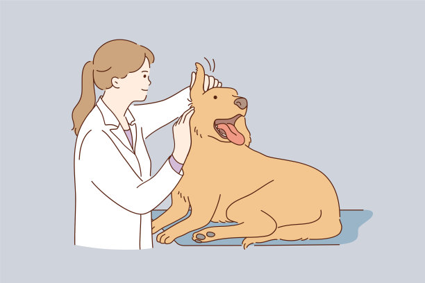 兽医期间的工作理念图片下载