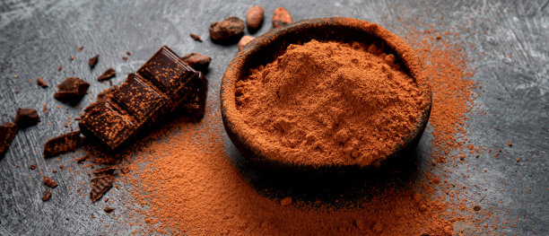 灰色背景上的可可豆和巧克力图片下载