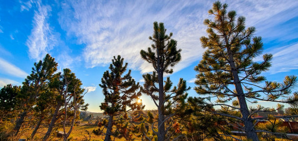 日落时分图片下载