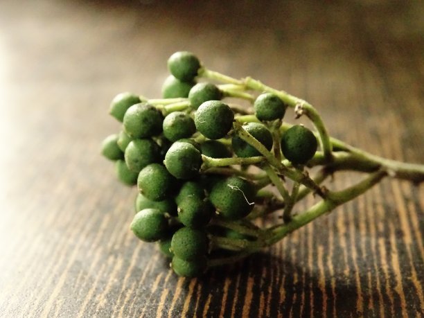 成为素食主义者图片下载