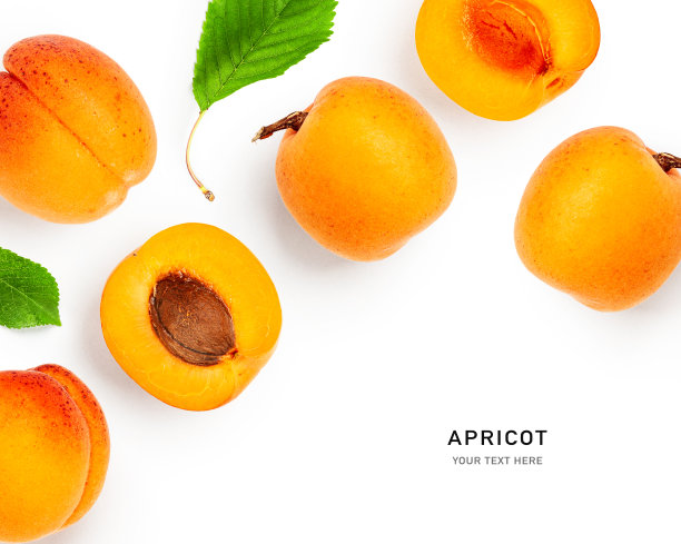 杏果创意布局图片下载