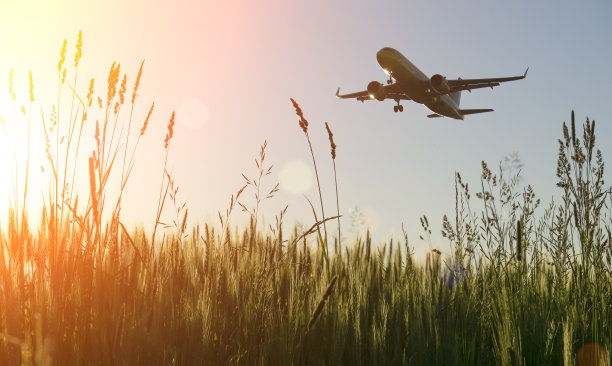 飞机在夏日蔚蓝的天空上飞行。载客飞机的起飞或降落航空旅行和旅游业的概念图片下载