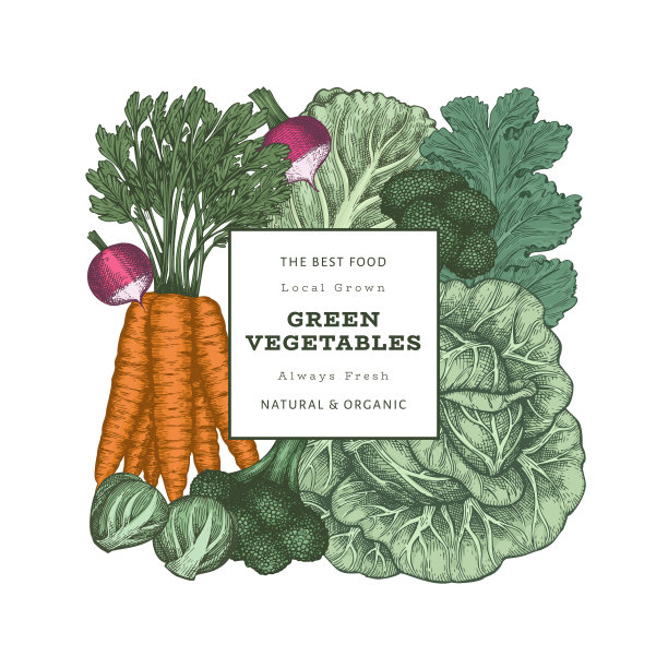 手绘复古颜色蔬菜设计图片下载