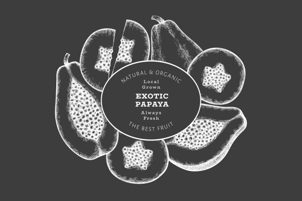 手绘手绘风格的有机木瓜横幅图片下载