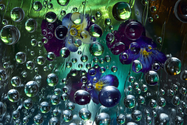 透明的水滴在绿松石绿色的背景和紫蓝色的花的映衬下流动。图片下载